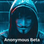 The anonymous beta on themes is a valuable tool for developers aiming to create high-quality, user-friendly products