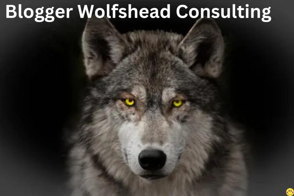 This is a Blogger Wolfshead Consulting blog that will lead you to customized advice on blogging in such a way that you will not miss the insights of successful blogging