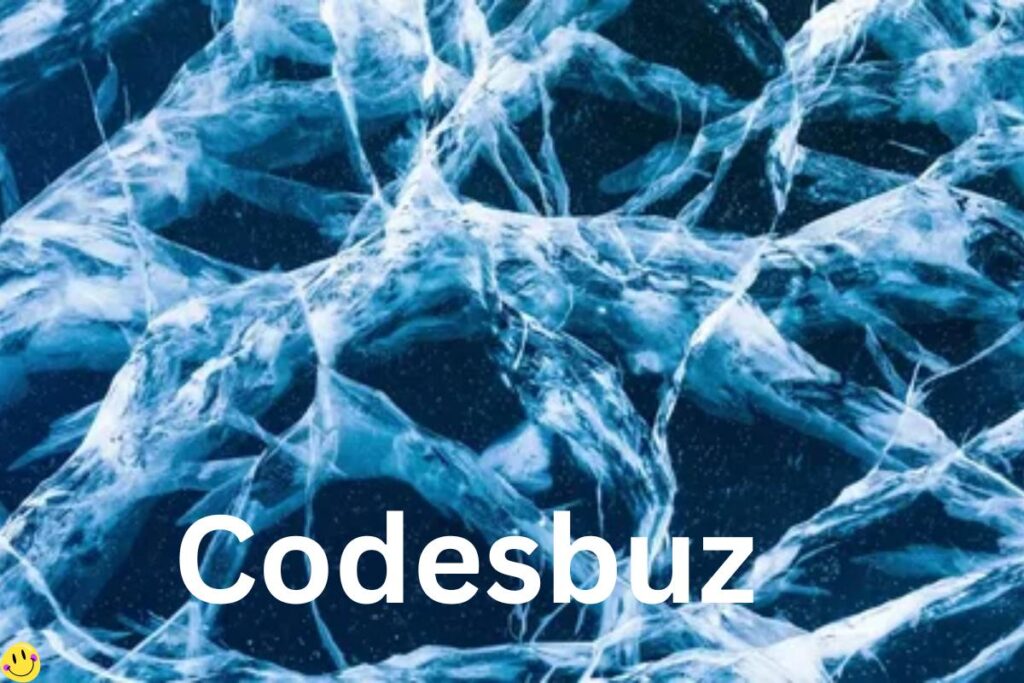 Codesbuz is a comprehensive coding platform. All the users have been provided with code-based interactive coding lessons to ensure personal learning