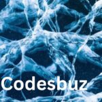 Codesbuz is a comprehensive coding platform. All the users have been provided with code-based interactive coding lessons to ensure personal learning